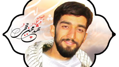 تصویر از خاطره حجت الاسلام لقمانی درباره ی شهید محسن حججی